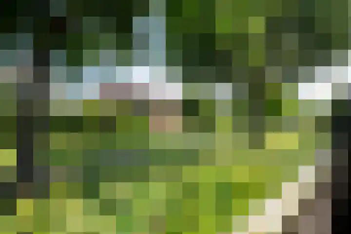 Teugel 6 Hasselt thumbnail 31