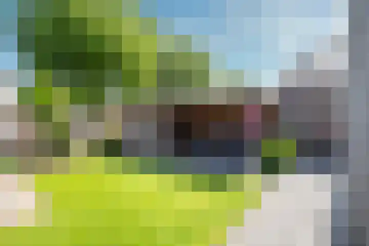 Teugel 6 Hasselt thumbnail 36