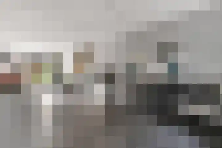 Teugel 7 Hasselt thumbnail 11