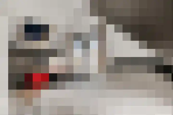 Teugel 7 Hasselt thumbnail 30