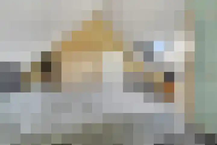 Teugel 7 Hasselt thumbnail 32