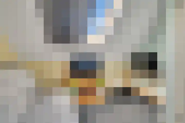 Teugel 7 Hasselt thumbnail 34