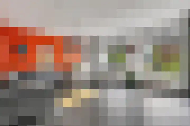 Teugel 7 Hasselt thumbnail 4