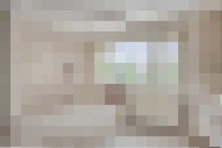 Teugenaarsstraat 21 Oss thumbnail 19