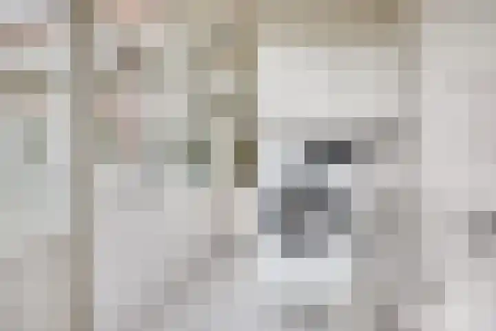 Teugenaarsstraat 21 Oss thumbnail 27
