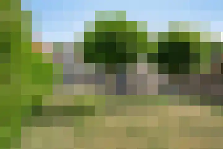Teugenaarsstraat 21 Oss thumbnail 28