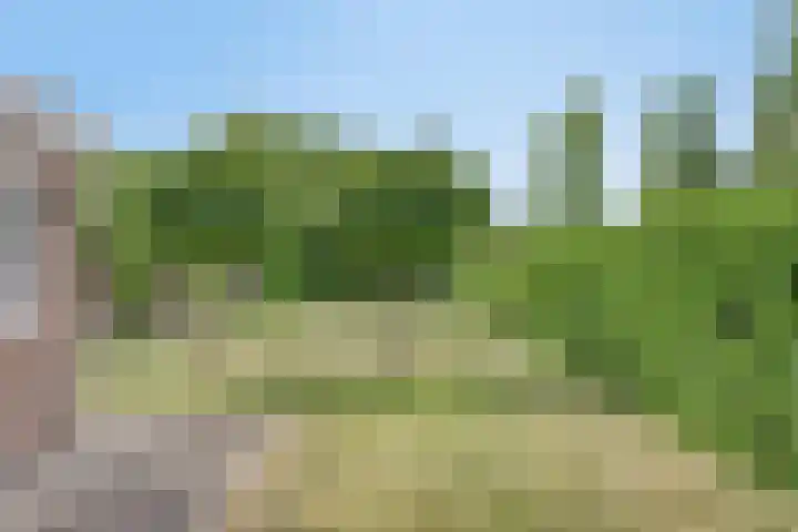 Teugenaarsstraat 21 Oss thumbnail 33