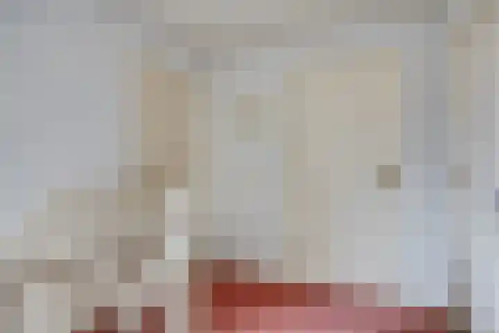 Teugenaarsstraat 21 Oss thumbnail 45