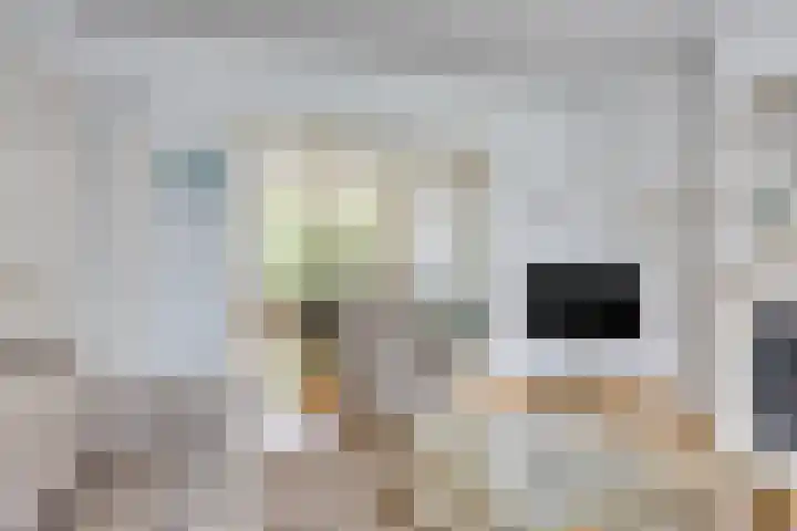 Teugenaarsstraat 21 Oss thumbnail 5