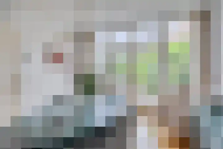 Teugenaarsstraat 21 Oss thumbnail 8