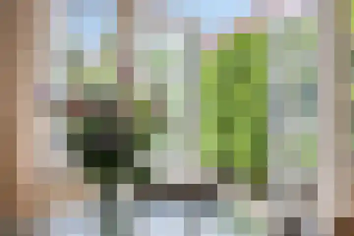 Teugenaarsstraat 21 Oss thumbnail 9
