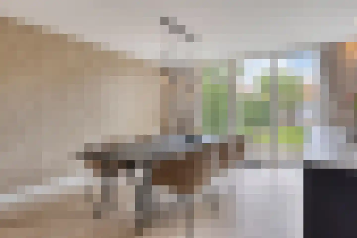 Teugenaarsstraat 38 Oss thumbnail 15