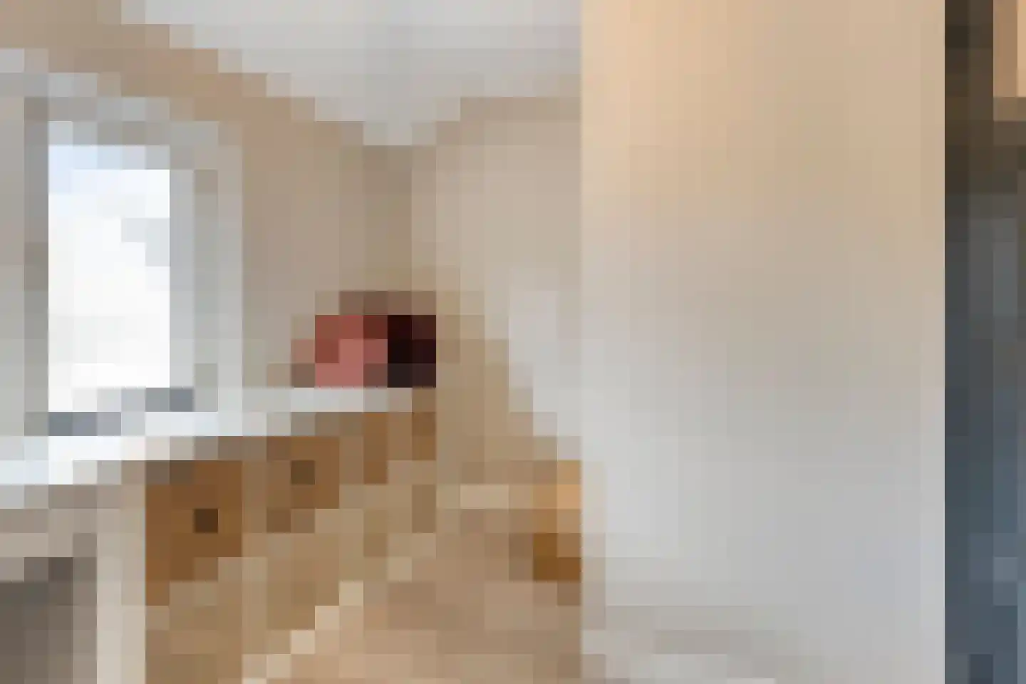 Teugenaarsstraat 38 Oss thumbnail 28