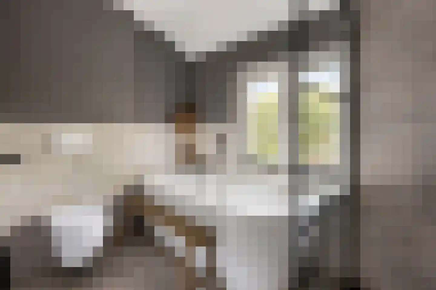 Teugenaarsstraat 38 Oss thumbnail 30