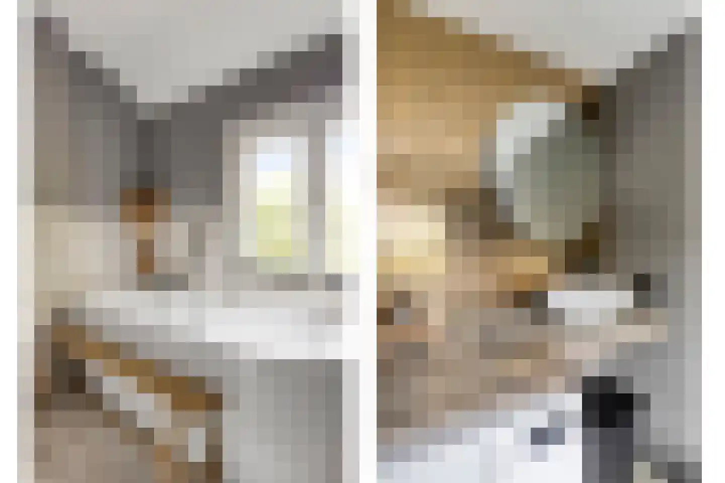 Teugenaarsstraat 38 Oss thumbnail 32