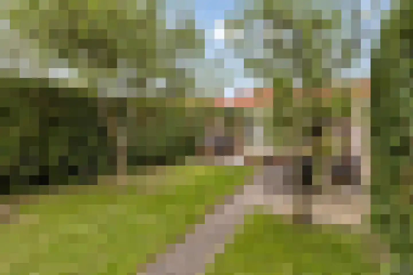 Teugenaarsstraat 38 Oss thumbnail 36