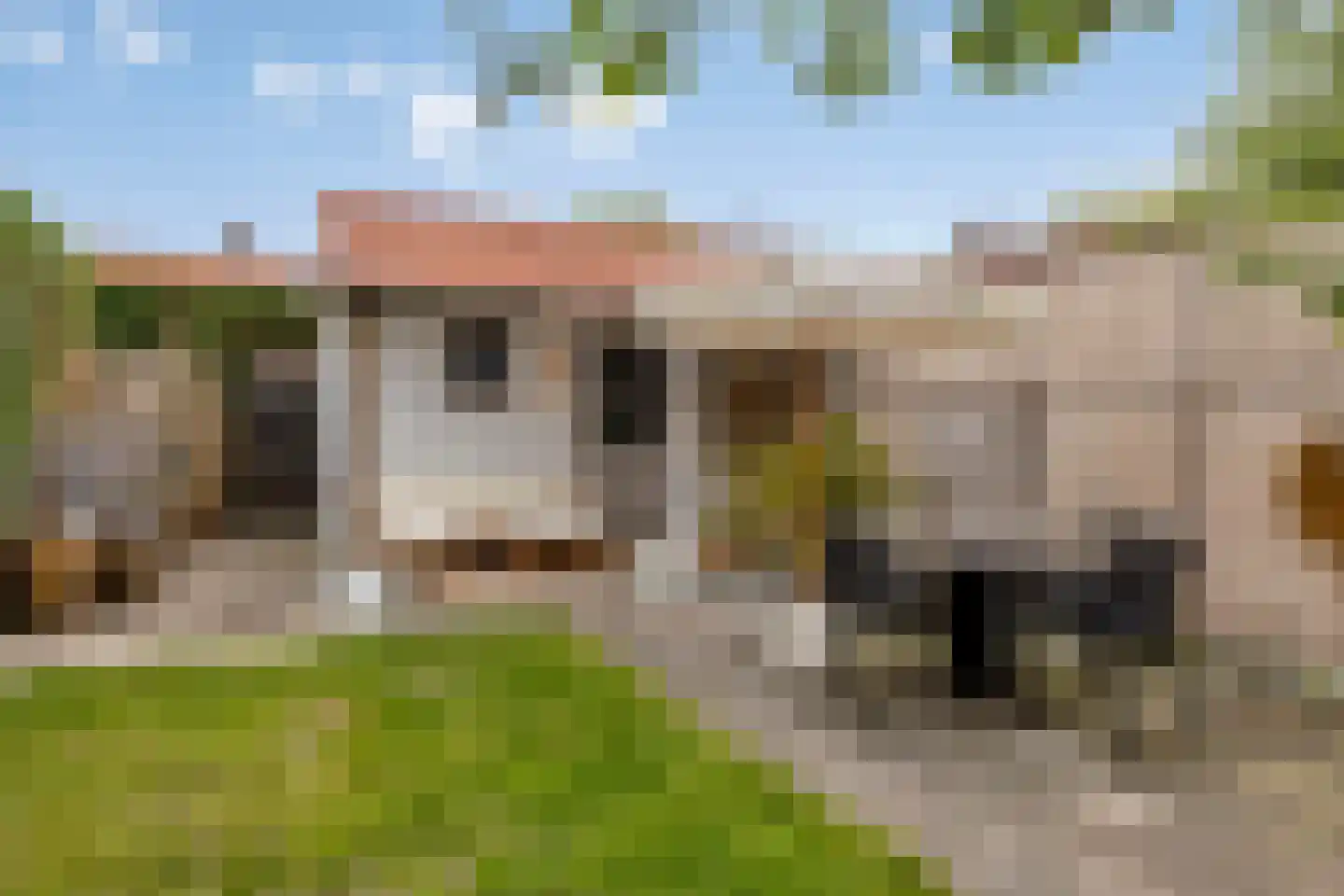 Teugenaarsstraat 38 Oss thumbnail 37