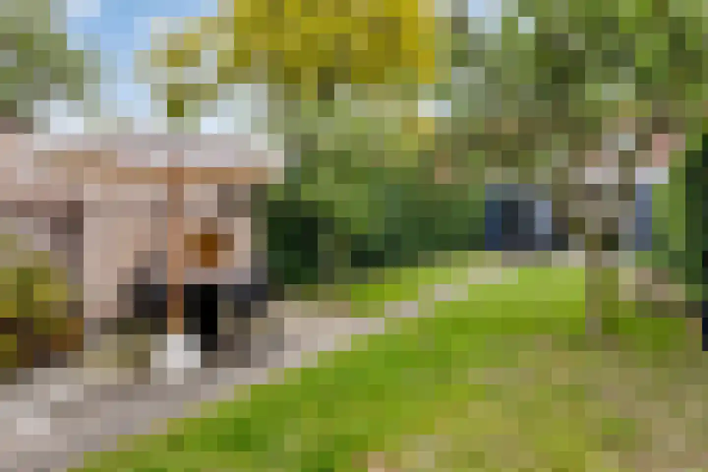 Teugenaarsstraat 38 Oss thumbnail 39