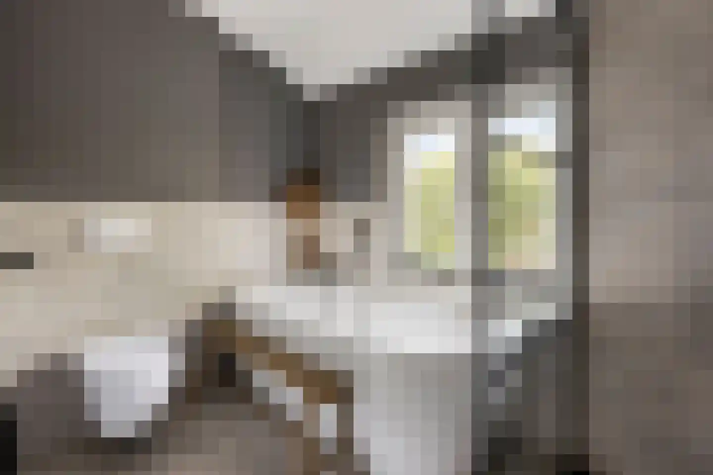 Teugenaarsstraat 38 Oss thumbnail 4