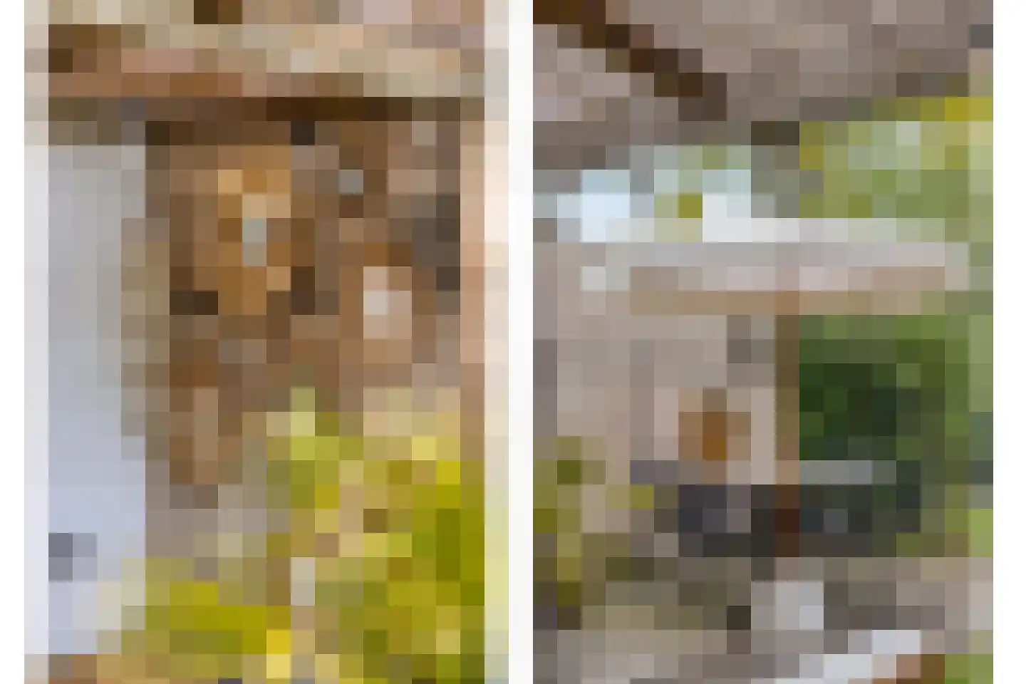 Teugenaarsstraat 38 Oss thumbnail 40