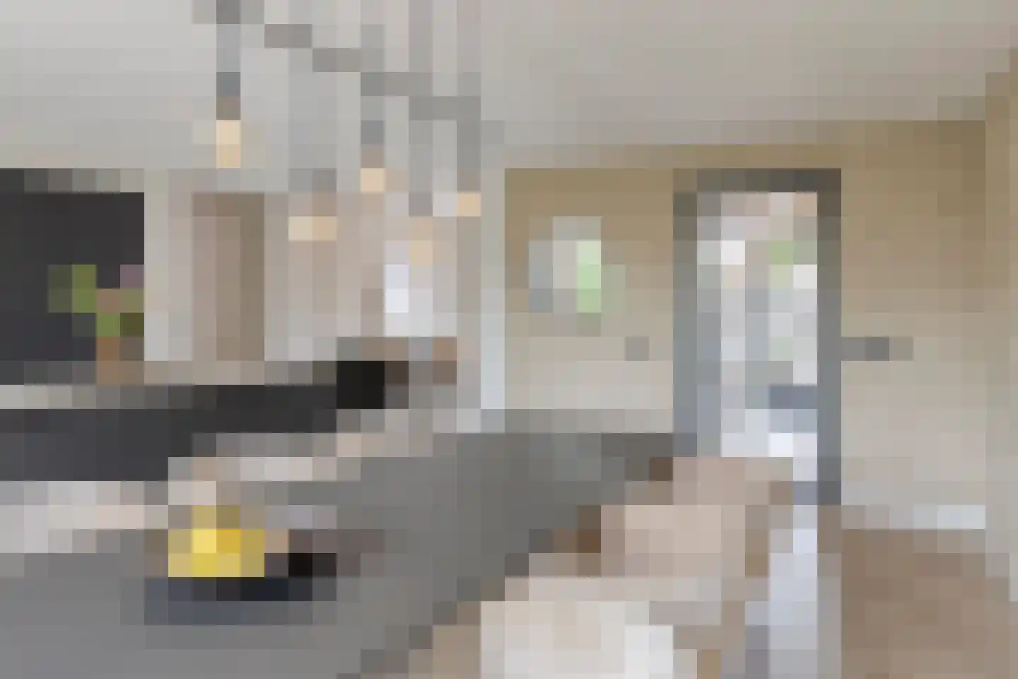 Teugenaarsstraat 38 Oss thumbnail 9