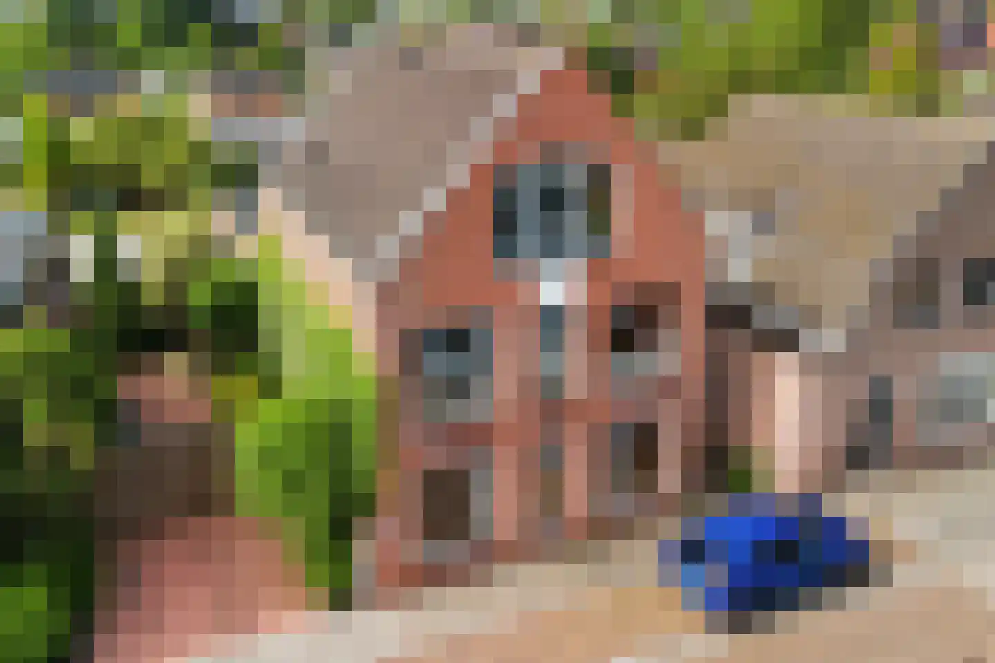 Teugenaarsstraat 47 Oss