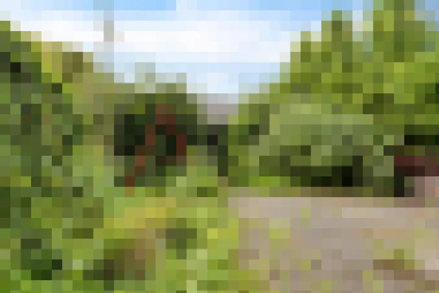 Teugenaarsstraat 47 Oss thumbnail 43
