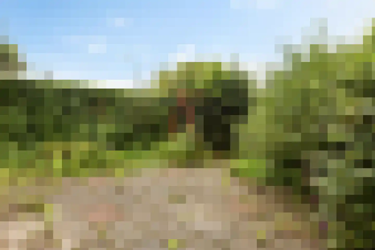 Teugenaarsstraat 47 Oss thumbnail 44