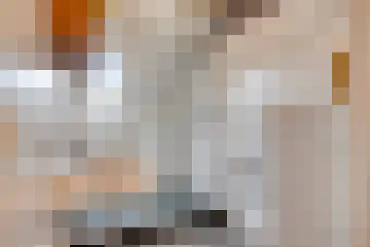 Teugenaarsstraat 56 Oss thumbnail 25