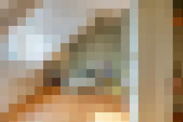 Teugenaarsstraat 56 Oss thumbnail 27