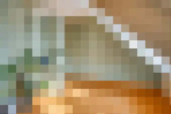 Teugenaarsstraat 56 Oss thumbnail 28