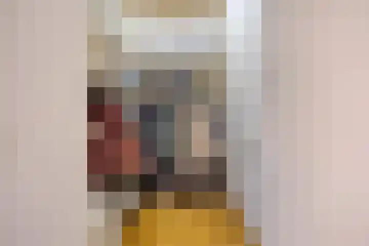 Teugenaarsstraat 56 Oss thumbnail 29
