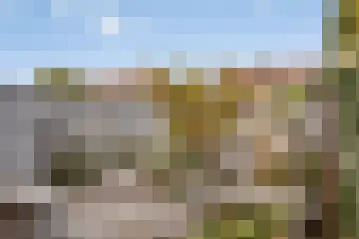 Teugenaarsstraat 56 Oss thumbnail 31