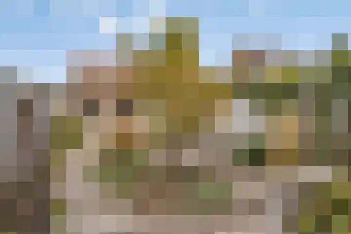 Teugenaarsstraat 56 Oss thumbnail 32