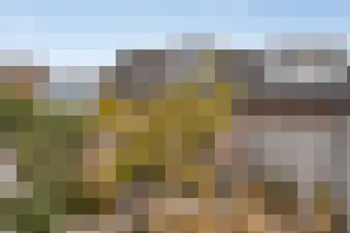 Teugenaarsstraat 56 Oss thumbnail 34