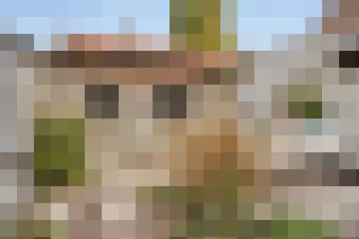 Teugenaarsstraat 56 Oss thumbnail 36