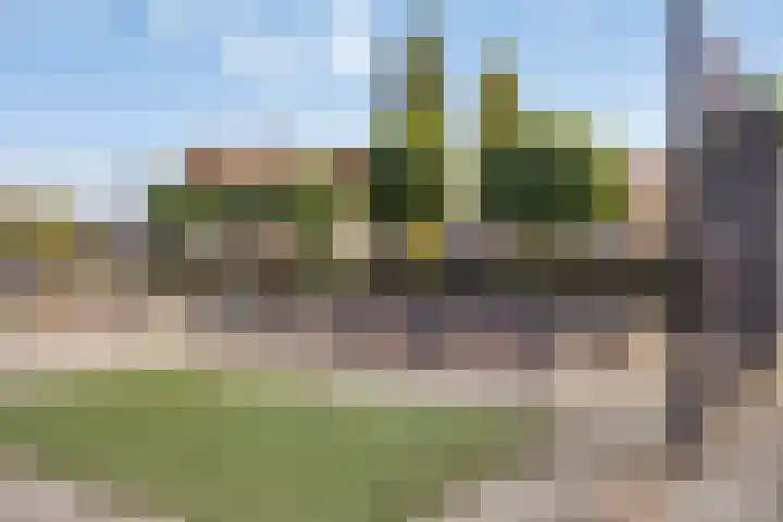 Teugenaarsstraat 56 Oss thumbnail 39