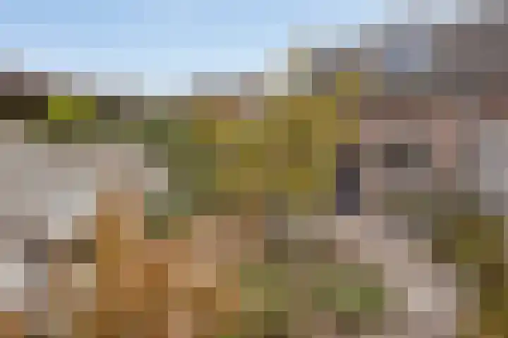 Teugenaarsstraat 56 Oss thumbnail 4