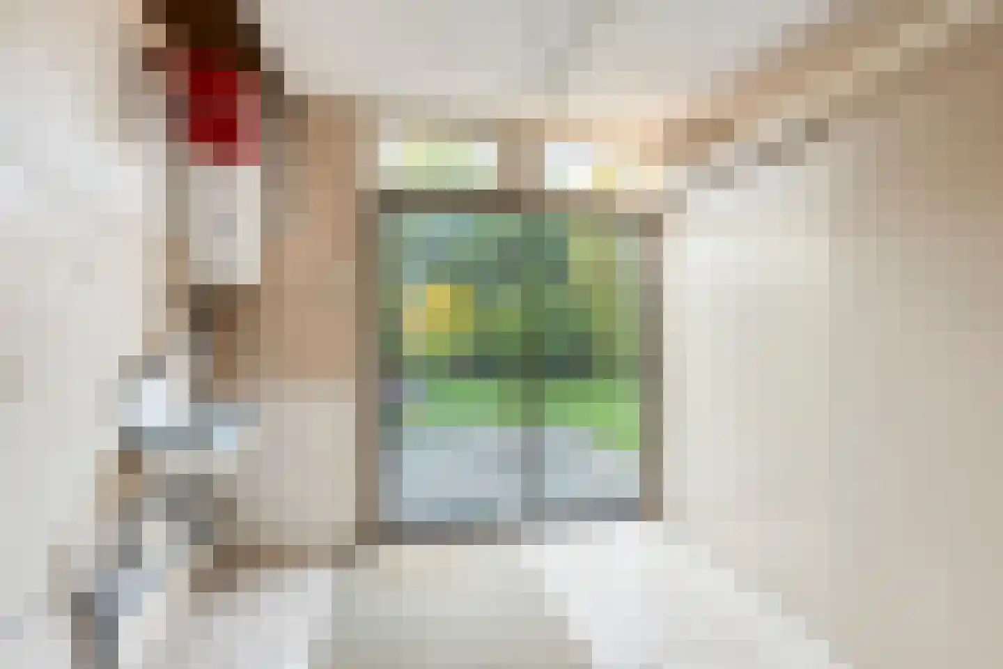 Teugenaarsstraat 79 Oss thumbnail 14