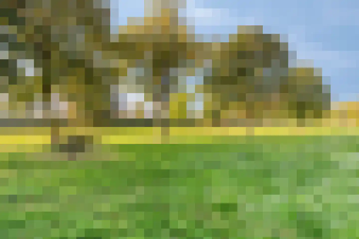 Teugenaarsstraat 79 Oss thumbnail 34