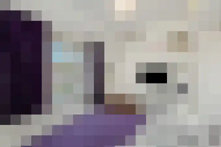Teugenaarsstraat 83 Oss thumbnail 20