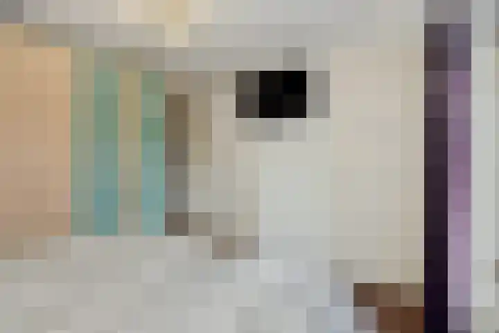 Teugenaarsstraat 83 Oss thumbnail 22