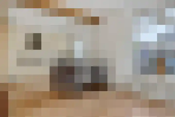 Teugenaarsstraat 83 Oss thumbnail 4