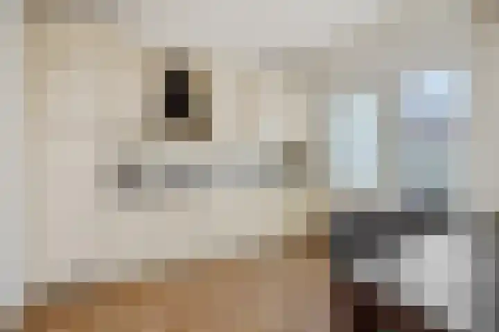 Teugenaarsstraat 83 Oss thumbnail 5