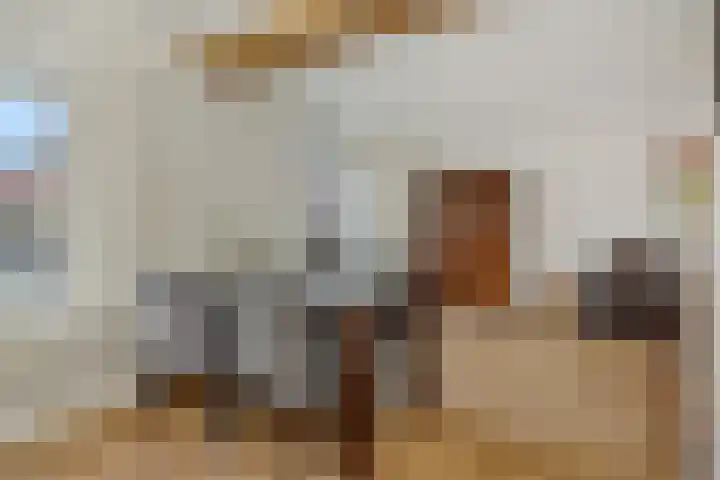 Teugenaarsstraat 83 Oss thumbnail 6