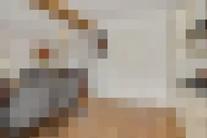 Teugenaarsstraat 83 Oss thumbnail 7