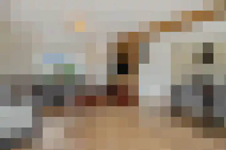 Teugenaarsstraat 83 Oss thumbnail 9