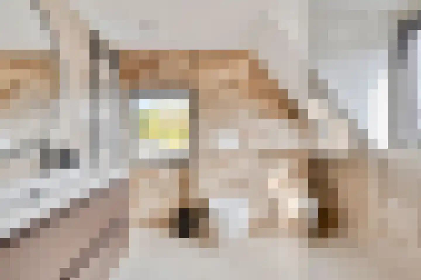 Teugenaarsstraat 89 Oss thumbnail 18