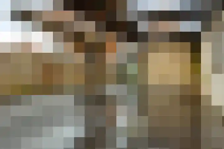 Teugenaarsstraat 89 Oss thumbnail 20