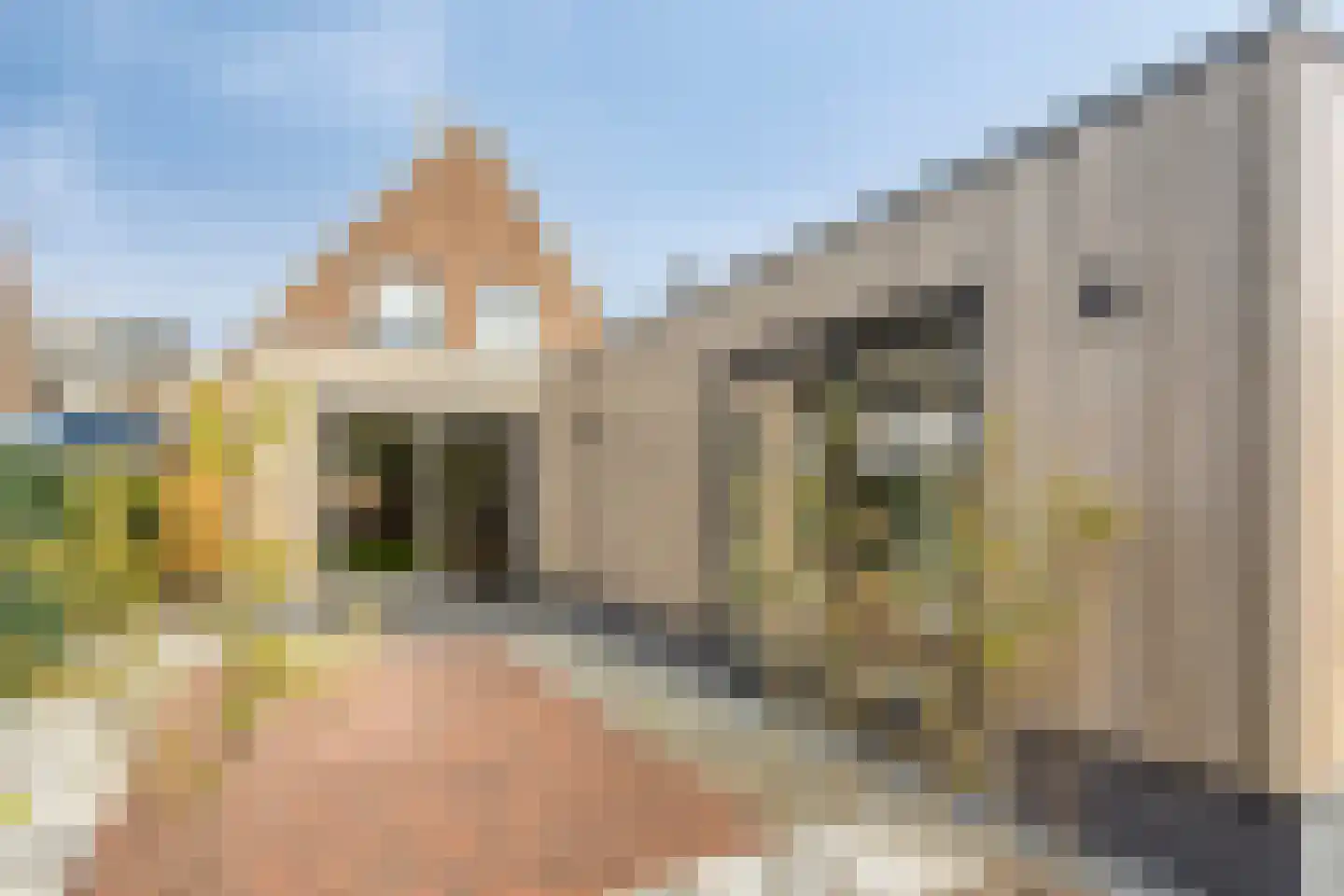 Teugenaarsstraat 89 Oss thumbnail 25